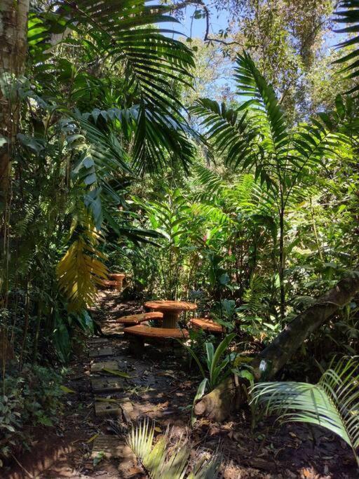 Eco Villas Tambor Tucanes ภายนอก รูปภาพ