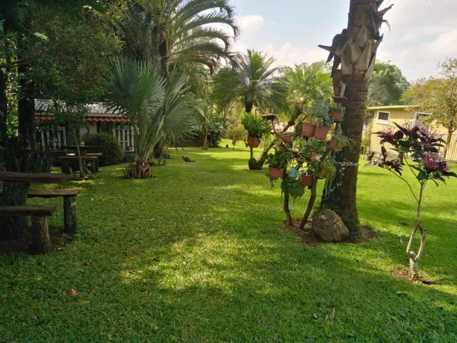 Eco Villas Tambor Tucanes ภายนอก รูปภาพ