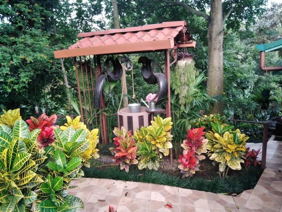 Eco Villas Tambor Tucanes ภายนอก รูปภาพ