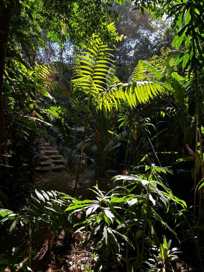 Eco Villas Tambor Tucanes ภายนอก รูปภาพ