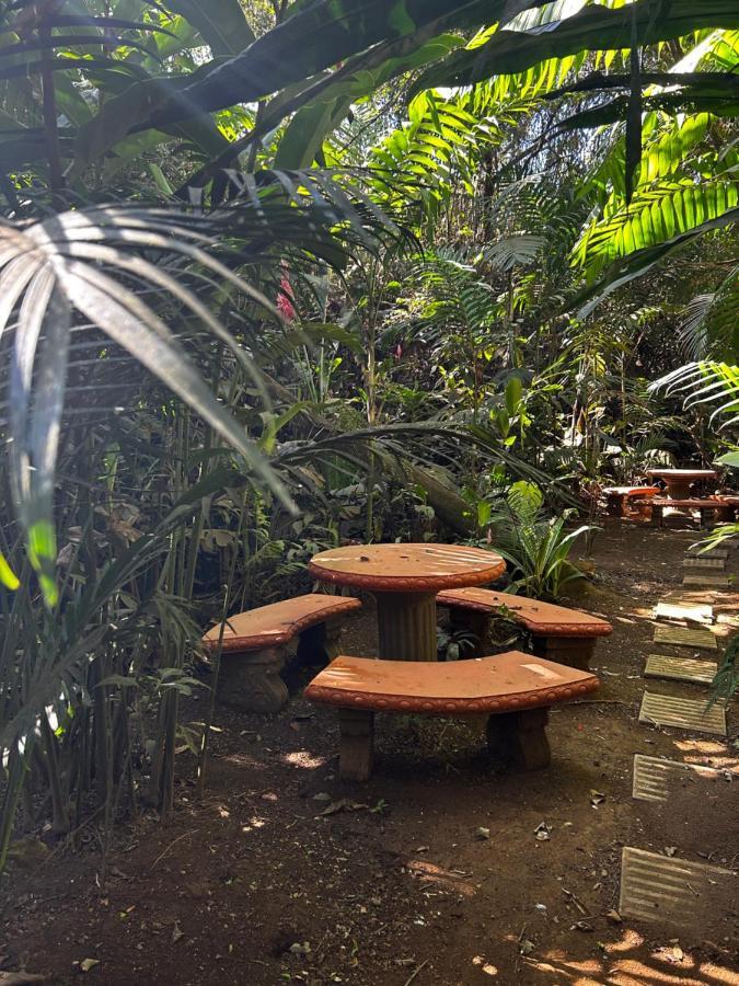 Eco Villas Tambor Tucanes ภายนอก รูปภาพ