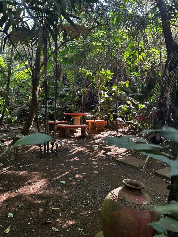 Eco Villas Tambor Tucanes ภายนอก รูปภาพ