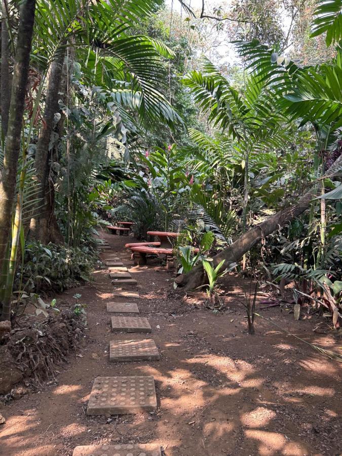 Eco Villas Tambor Tucanes ภายนอก รูปภาพ