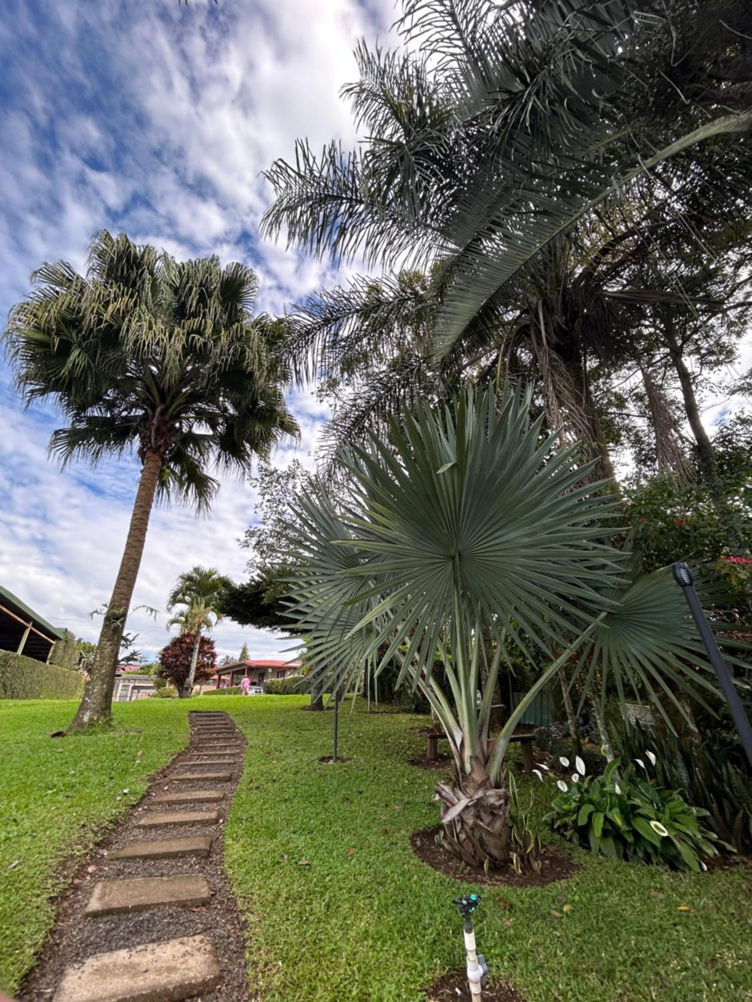 Eco Villas Tambor Tucanes ภายนอก รูปภาพ